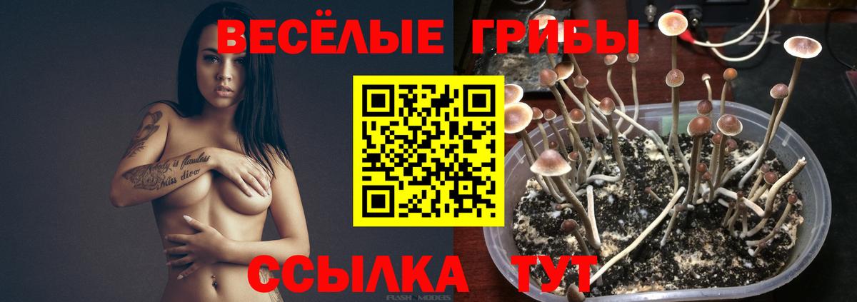 Псилоцибиновые грибы мухоморы  Вход с VPN  Галлюциногенные грибы прущие грибы  Новоуральск 