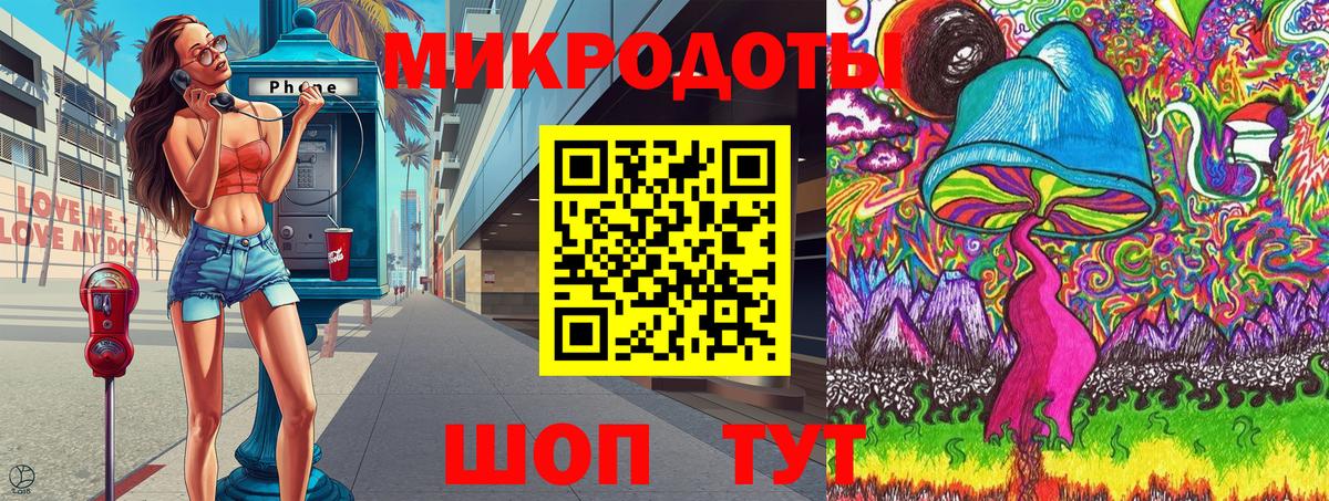 Псилоцибиновые грибы Psilocybe Новоуральск